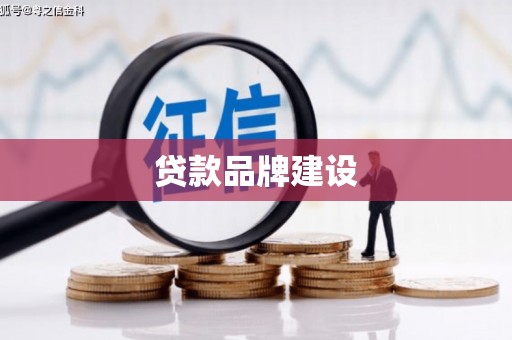大园贷款品牌建设