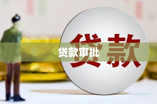 大园贷款审批