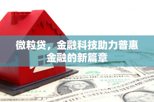 大园微粒贷，金融科技助力普惠金融的新篇章