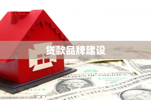 大园贷款品牌建设
