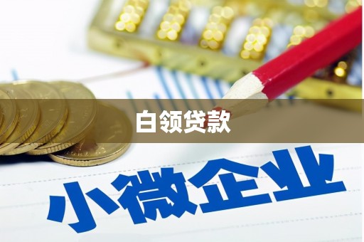 大园白领贷款