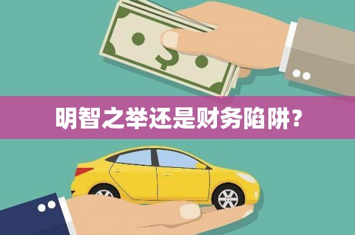 大园明智之举还是财务陷阱？