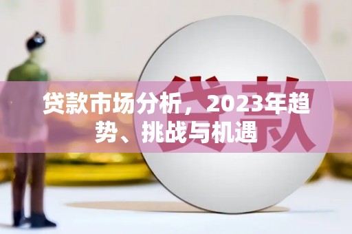 大园贷款市场分析，2023年趋势、挑战与机遇