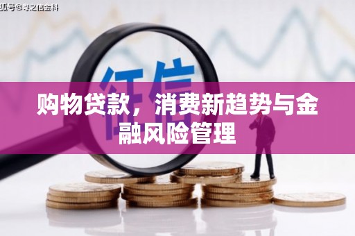大园购物贷款，消费新趋势与金融风险管理