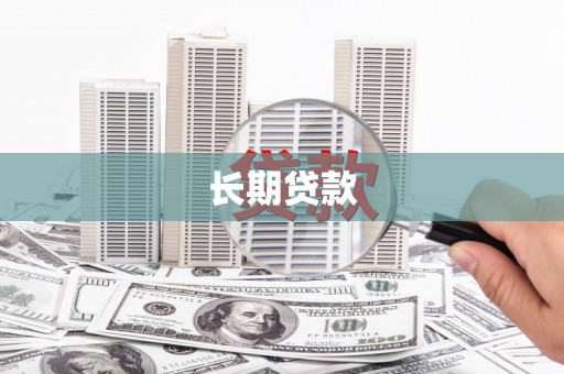 大园长期贷款