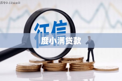大园度小满贷款