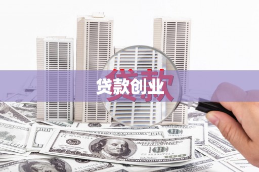 大园贷款创业