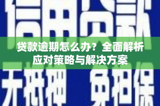 大园贷款逾期怎么办？全面解析应对策略与解决方案