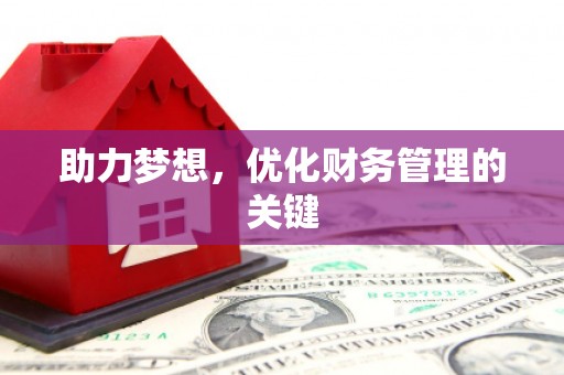大园助力梦想，优化财务管理的关键