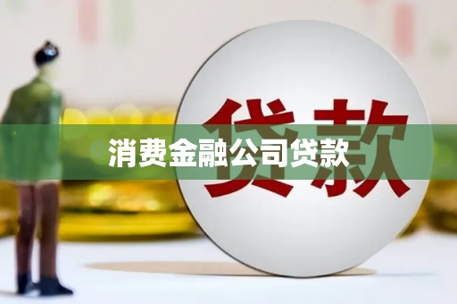 大园消费金融公司贷款