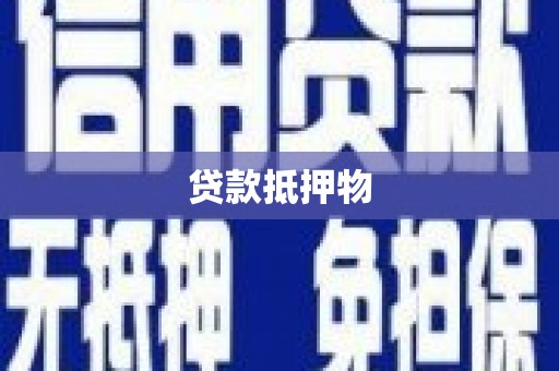 大园贷款抵押物