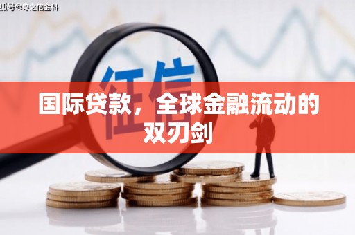 大园国际贷款，全球金融流动的双刃剑