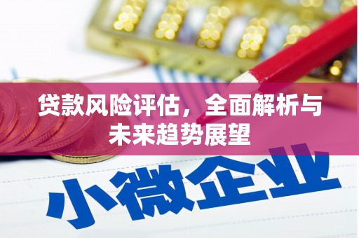大园贷款风险评估，全面解析与未来趋势展望