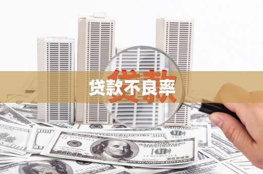 大园贷款不良率