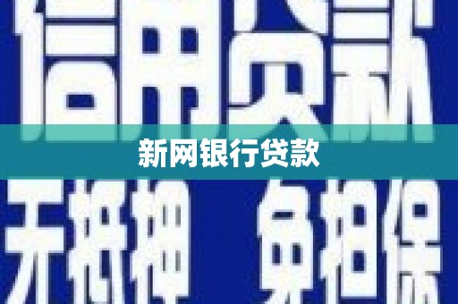 大园新网银行贷款