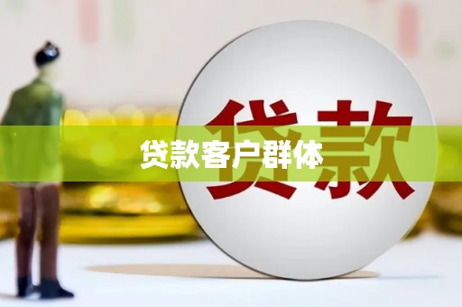 大园贷款客户群体