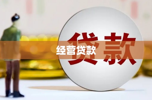 大园经营贷款