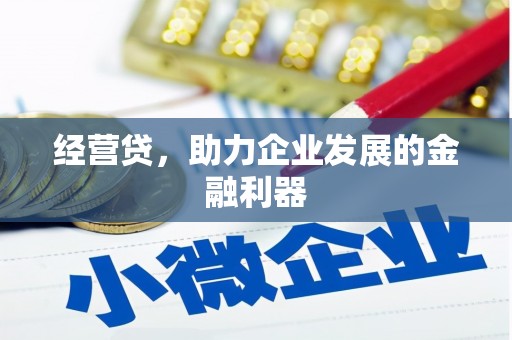 大园经营贷，助力企业发展的金融利器