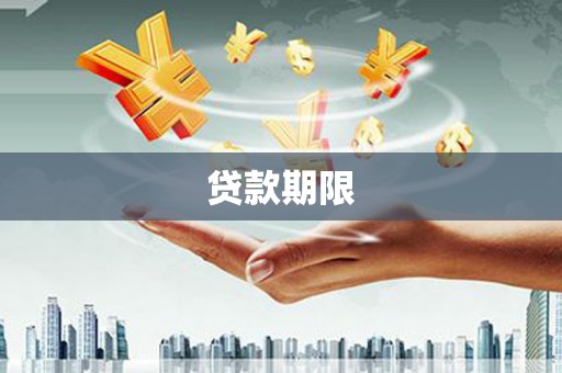 大园贷款期限