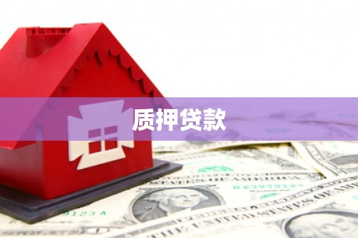 大园质押贷款