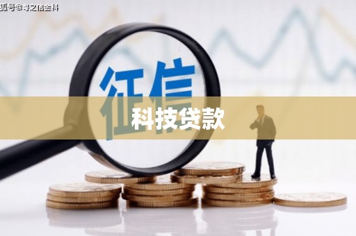 大园科技贷款