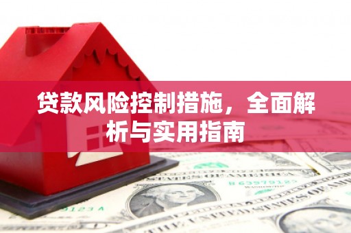大园贷款风险控制措施，全面解析与实用指南