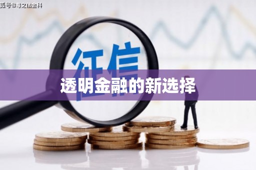 大园透明金融的新选择