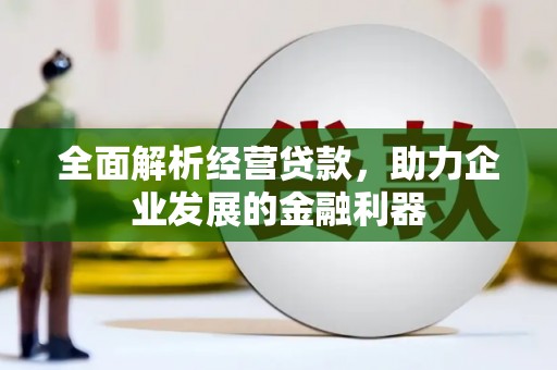 大园全面解析经营贷款，助力企业发展的金融利器