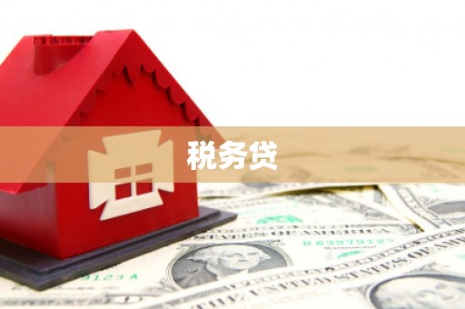 大园税务贷