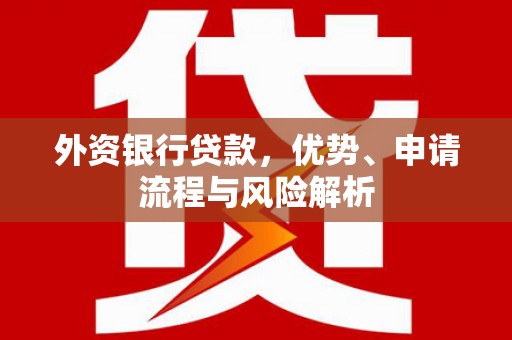 大园外资银行贷款，优势、申请流程与风险解析