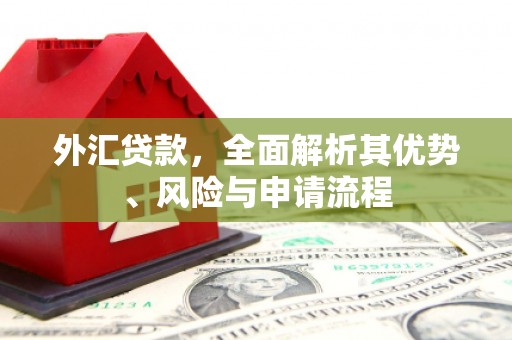 大园外汇贷款，全面解析其优势、风险与申请流程