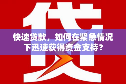 大园快速贷款，如何在紧急情况下迅速获得资金支持？