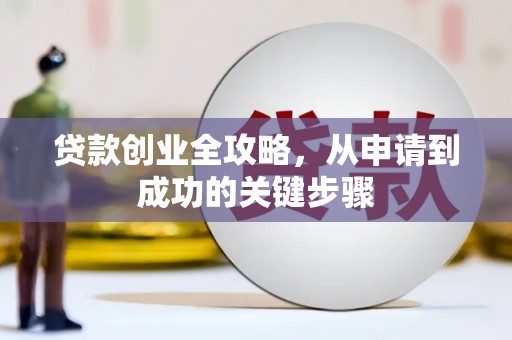 大园贷款创业全攻略，从申请到成功的关键步骤