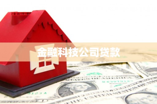 大园金融科技公司贷款