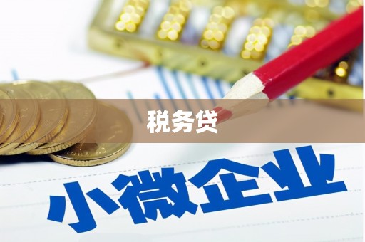 大园税务贷
