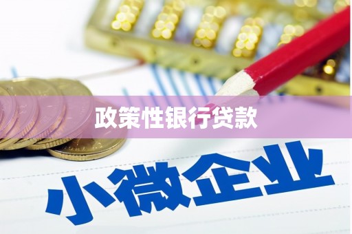 大园政策性银行贷款