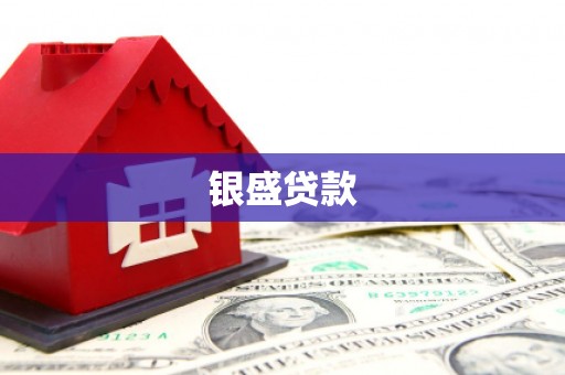 大园银盛贷款