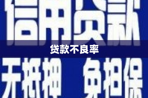 大园贷款不良率