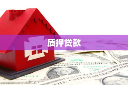 大园质押贷款