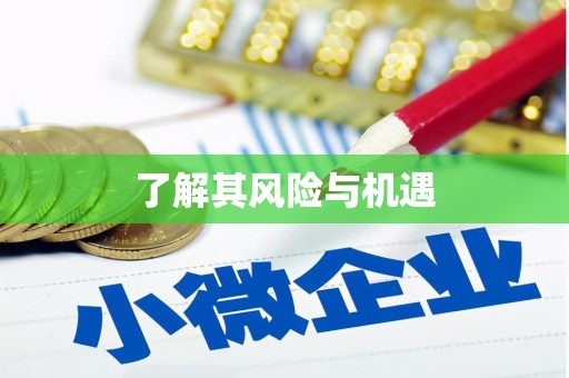 大园了解其风险与机遇