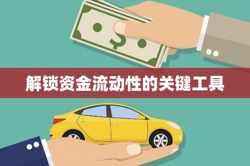 大园解锁资金流动性的关键工具