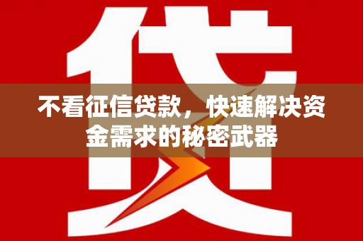 大园不看征信贷款，快速解决资金需求的秘密武器
