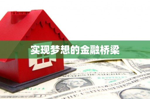 大园实现梦想的金融桥梁