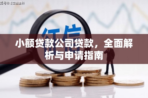 大园小额贷款公司贷款，全面解析与申请指南