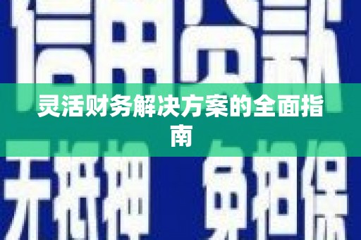大园灵活财务解决方案的全面指南