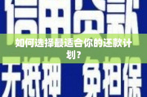 大园如何选择最适合你的还款计划？