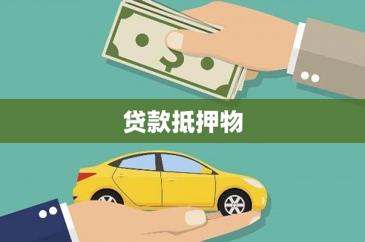 大园贷款抵押物