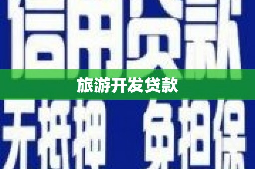 大园旅游开发贷款