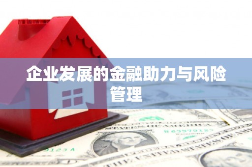 大园企业发展的金融助力与风险管理
