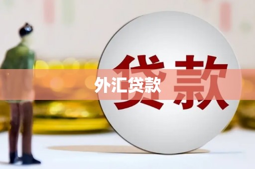 大园外汇贷款